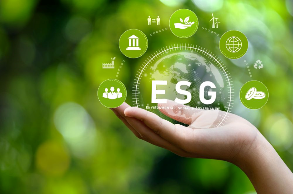 Implemente práticas ESG na sua empresa, com as boas práticas de mercado, melhorando o ambiente de negócios e evitando riscos.